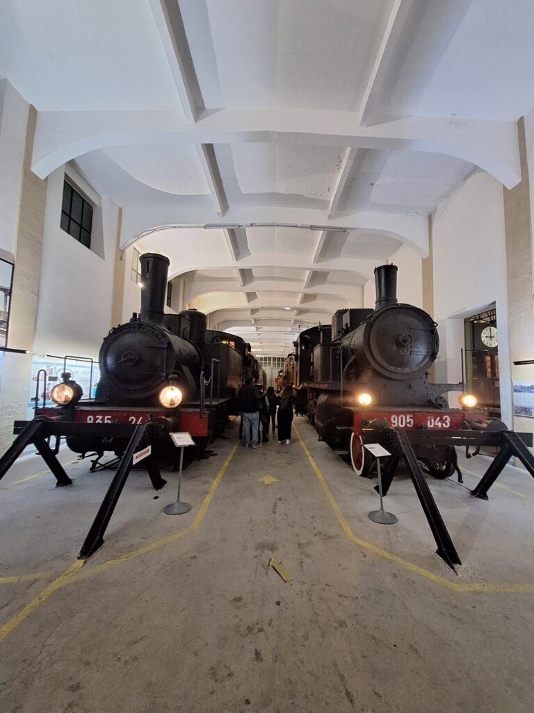 WhatsApp Image 2024-12-12 at 11.04.11 (3)