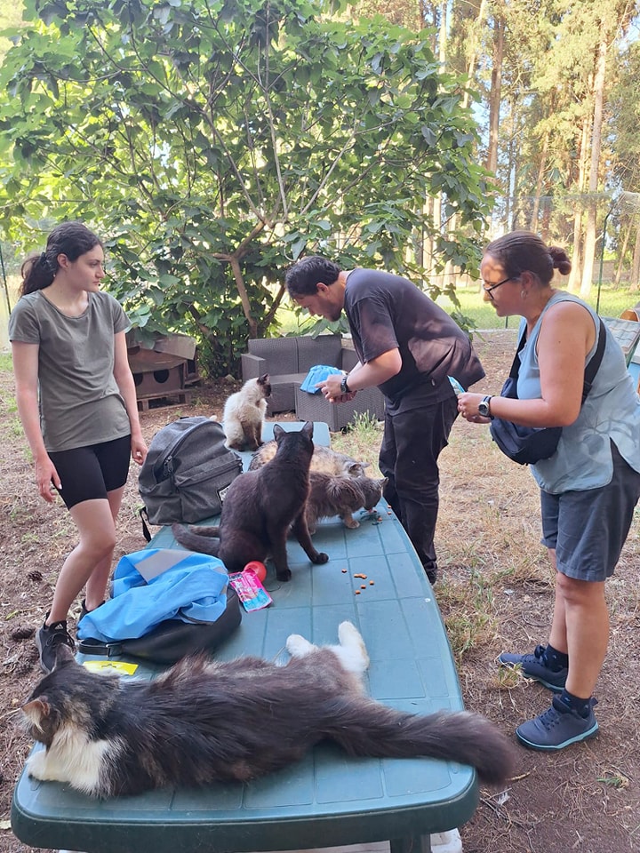 494103405_743992198164605_7916022951540371713_n