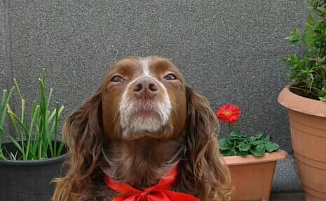 WhatsApp Image 2025-11-03 at 15.09.28 (1)