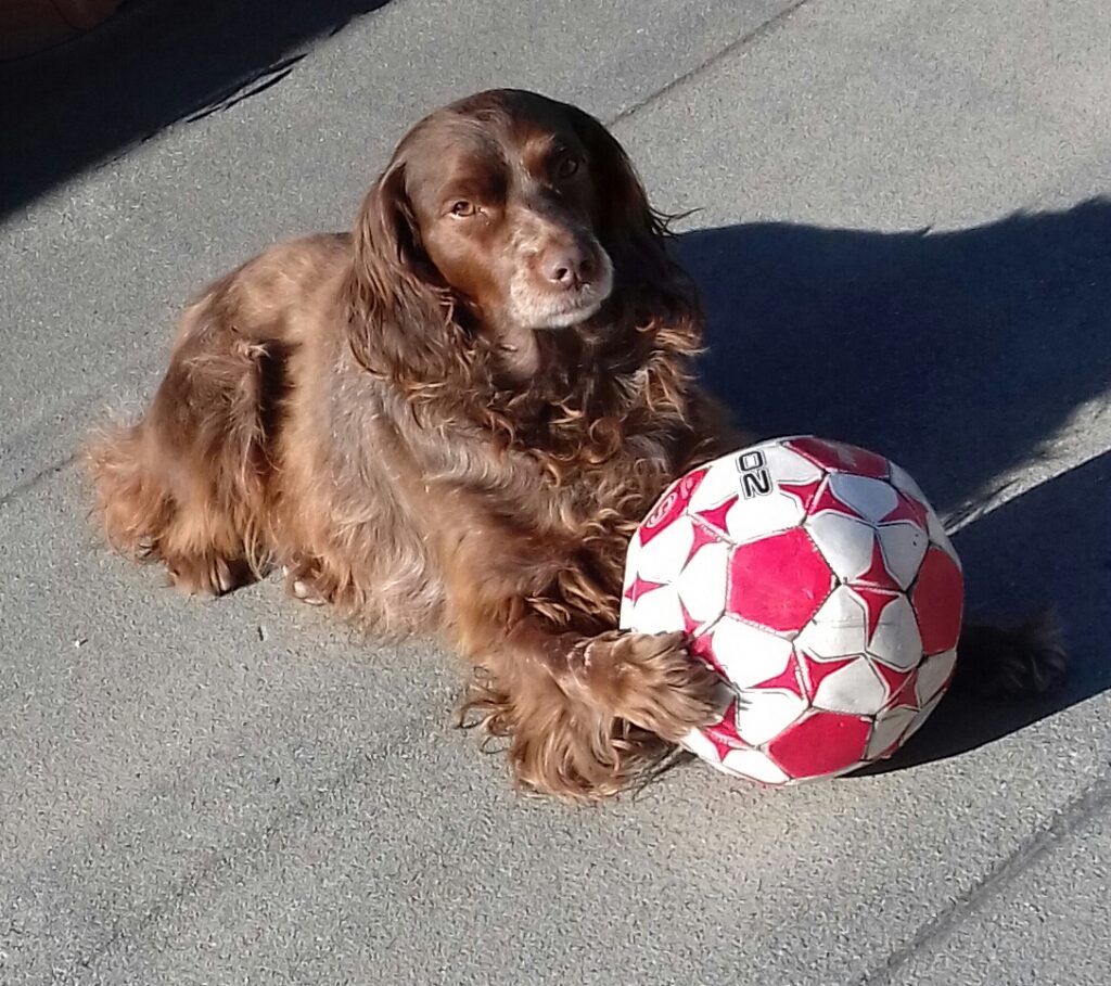 WhatsApp Image 2025-11-03 at 15.09.28 (2)