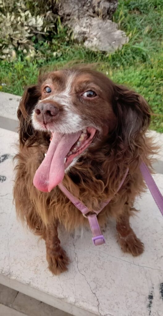 WhatsApp Image 2025-11-03 at 15.09.28