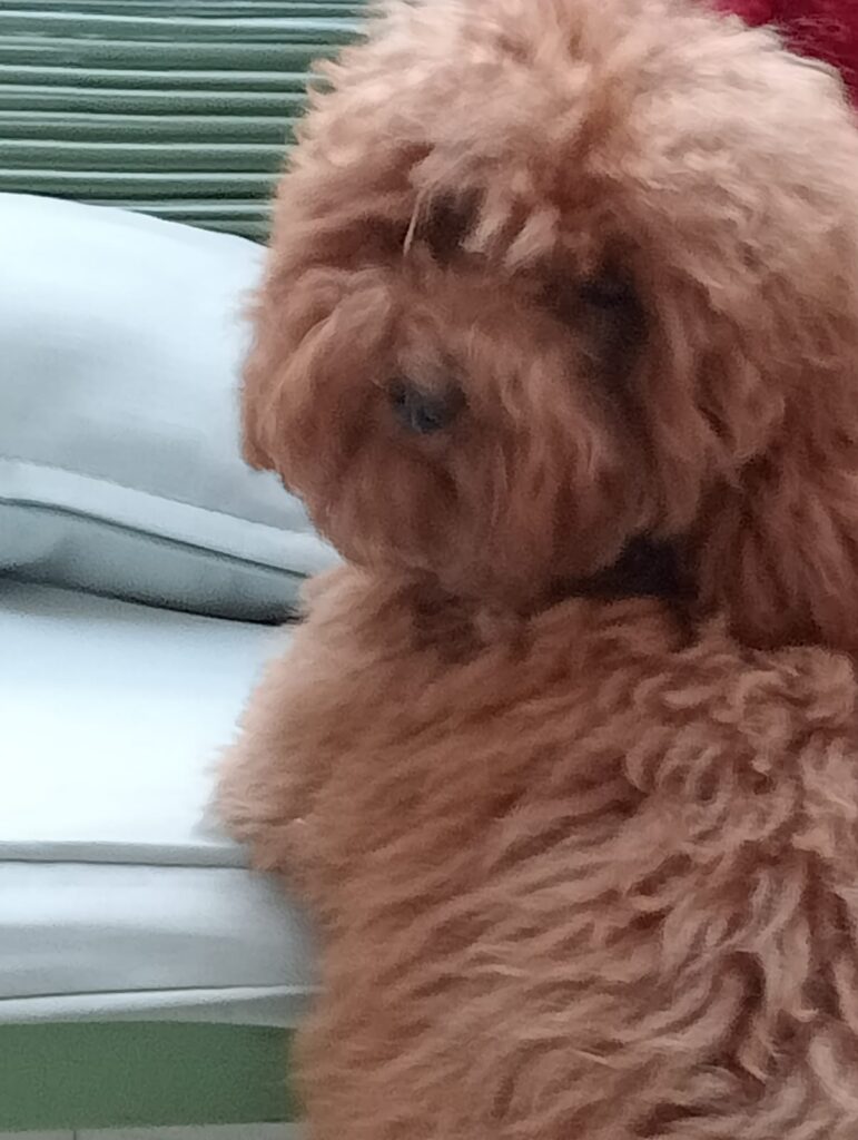 WhatsApp Image 2025-11-05 at 11.08.38