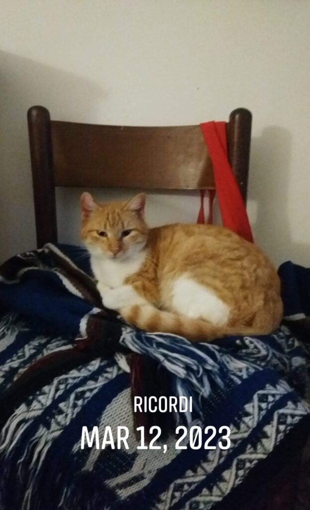 WhatsApp Image 2025-11-05 at 11.16.34