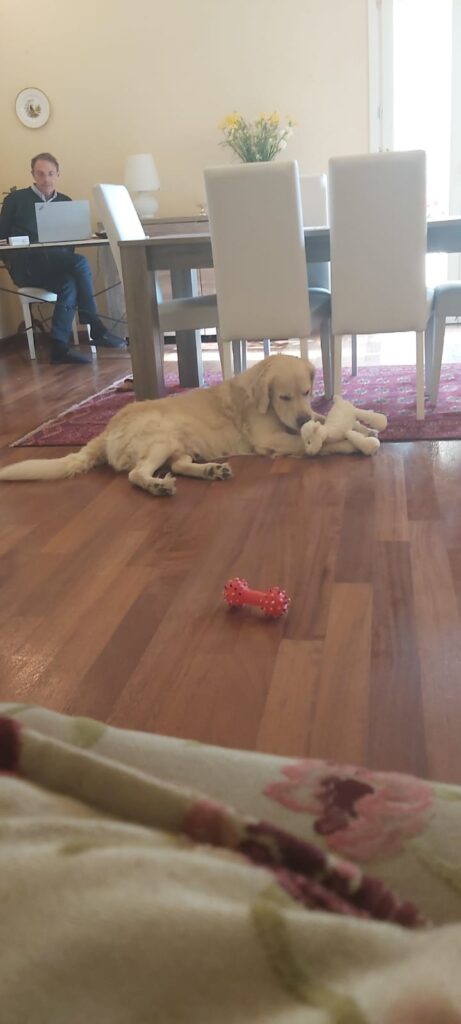 WhatsApp Image 2025-11-05 at 11.19.15