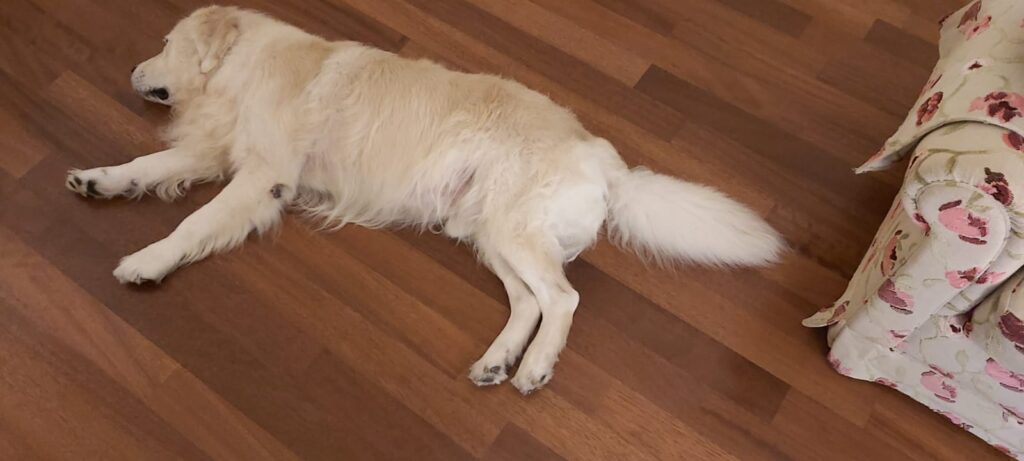 WhatsApp Image 2025-11-05 at 11.19.42