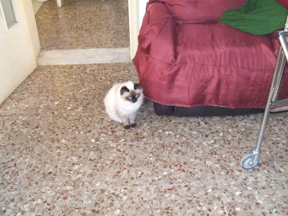 WhatsApp Image 2025-11-05 at 11.20.30