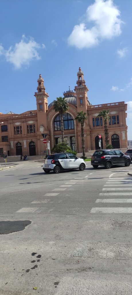 WhatsApp Image 2026-03-14 at 11.59.21