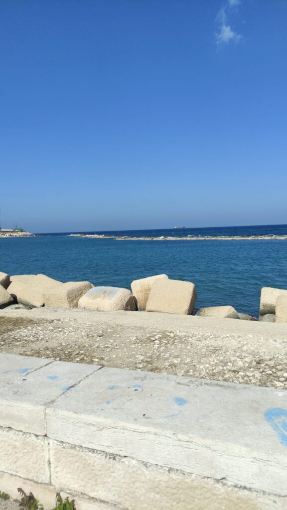 WhatsApp Image 2026-03-14 at 14.20.08